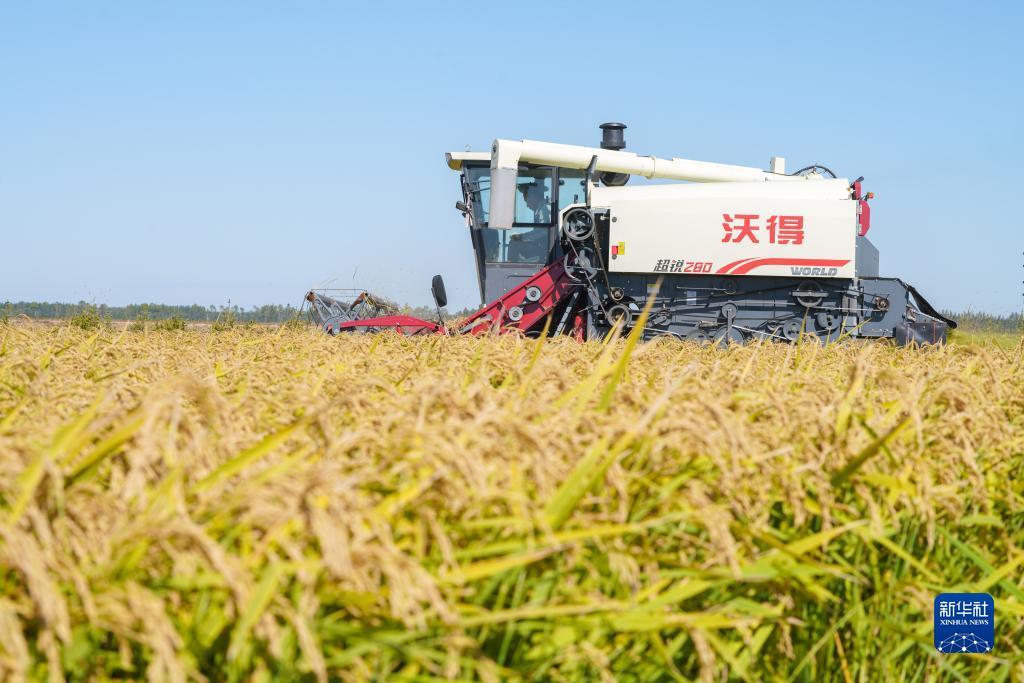免费游戏捕鱼